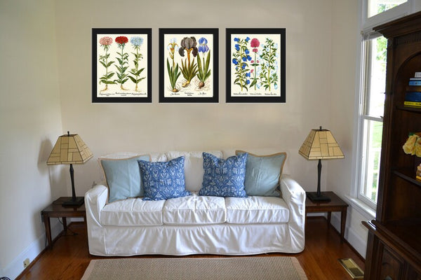 Botanical Wall Art Set of 3 Prints Beautiful Antique Vintage Pink Blue Bluebells Iris Wildflowers Flowers Floral Home Decor to Frame BESL