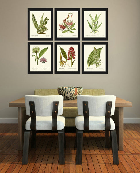 Vintage Flowers Botanical Wall Art Set of 6 Prints Beautiful Antique Green Fern Pink Lily Wildflowers Farmhouse Home Room Decor to Frame AFS