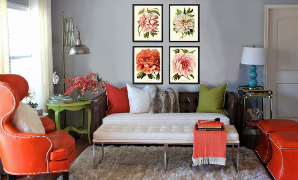 Peony Botanical Prints Wall Home Decor Art Set of 4 Beautiful Antique Vintage Pink White Coral Orange Peonies Flower Garden to Frame PEON