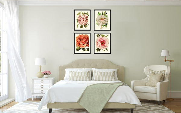 Peony Botanical Prints Wall Home Decor Art Set of 4 Beautiful Antique Vintage Pink White Coral Orange Peonies Flower Garden to Frame PEON