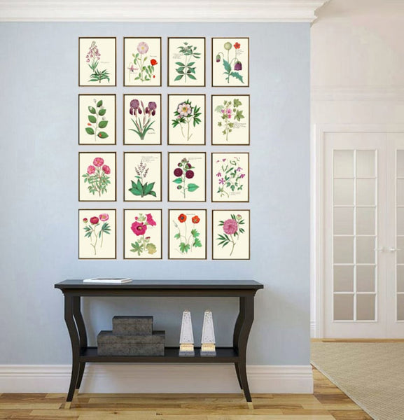 Botanical Wall Art Home Decor Set of 16 Prints Beautiful Vintage Pink Purple Burgundy Green Flowers Interior Design Designer to Frame ABD