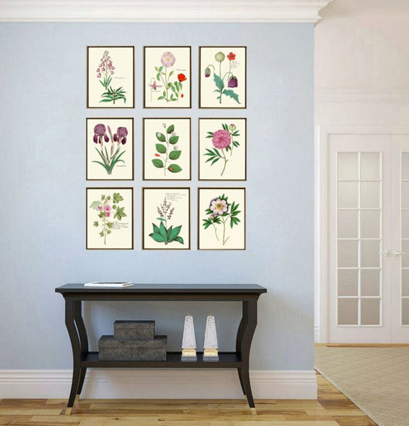 Botanical Wall Art Set of 9 Prints Beautiful Antique Pink Red Burgundy Peony Iris Poppy Spring Summer Nature Garden Home Decor to Frame ABD