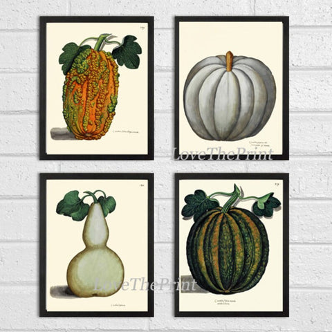 Pumpkin Wall Decor Art Prints Set of 4 Beautiful Antique Vintage Fall Decoration Office Kitchen Dining Room Fireplace Home Decor to Frame UA