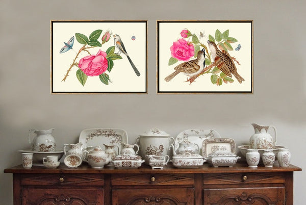 Birds and Roses Botanical Wall Art Decor Prints Set of 2 Beautiful Antique Pink Flowers Dining Living Room Home Decoration to Frame BOT