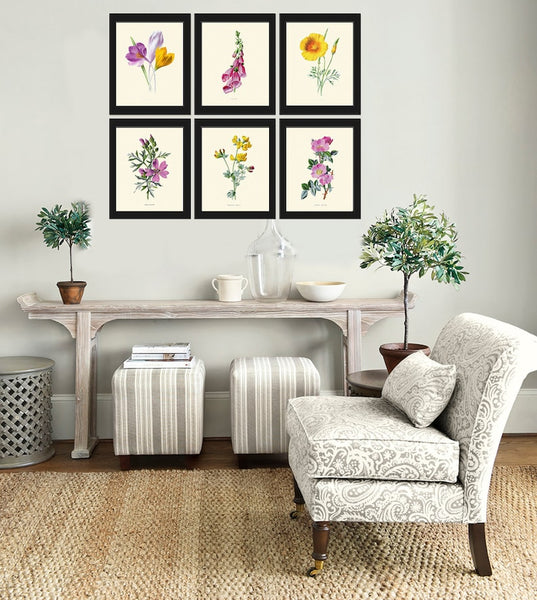 Botanical Wall Art Set of 6 Prints Vintage Antique Violet Purple Yellow Crocus Sweet Briar Mallow Foxglove Plants Home Decor to Frame HULM