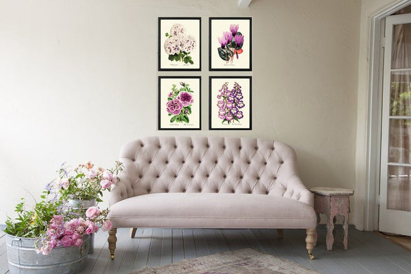 Purple Violet Flowers Botanical Wall Art Set of 4 Prints Beautiful Petunia Cyclamen Geranium Beardtongue Plants Home Decor to Frame TFM