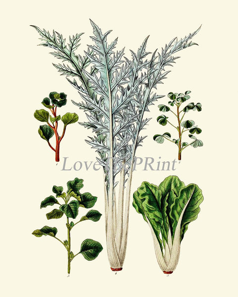 Salad Leaf Print Set Botanical Wall Art of 9 Prints Beautiful Antique Vintage Kitchen Dining Room Artichoke Green Home Decor to Frame HORT