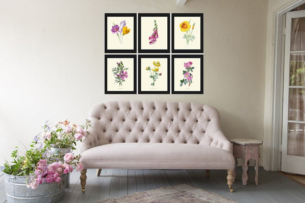 Botanical Wall Art Set of 6 Prints Vintage Antique Violet Purple Yellow Crocus Sweet Briar Mallow Foxglove Plants Home Decor to Frame HULM