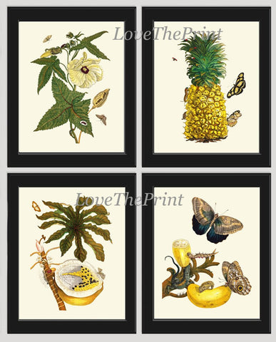 Tropical Botanical Wall Art Set of 4 Beautiful Antique Vintage Hibiscus Pineapple Papaya Banana Plants Flowers Home Decor to Frame SIBY