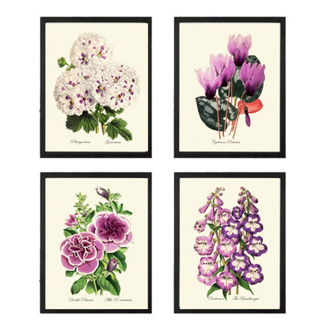 Purple Violet Flowers Botanical Wall Art Set of 4 Prints Beautiful Petunia Cyclamen Geranium Beardtongue Plants Home Decor to Frame TFM