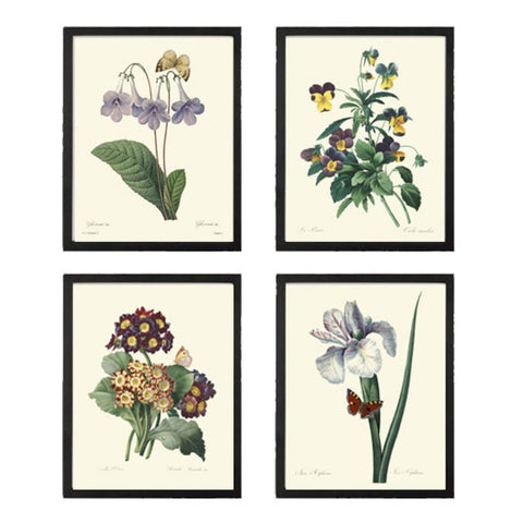 Purple Violet Lilac Flowers Botanical Wall Art Set of 4 Prints Beautiful Vintage Iris Pansy Gloxinia Illustration Home Decor to Frame REDT