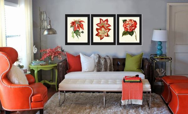 Holiday Christmas Flowers Wall Art Botanical Print Set of 3 Vintage Antique Red White Poinsettia Amaryllis Camellia Home Decor to Frame LMD