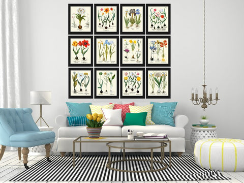 Botanical Wall Art Set of 12 Prints Beautiful Vintage Antique Tulips Iris Lily Living Room Dining Bedroom Hallway Home Decor to Frame BESL