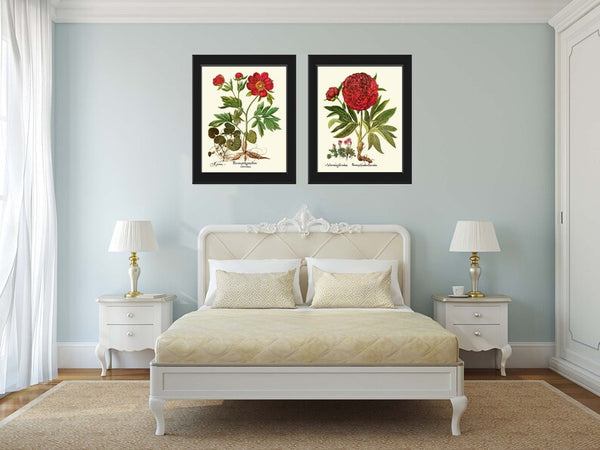 Red Peony Botanical Prints Wall Art Set of 2 Beautiful Antique Vintage Crimson Bright Red Flowers Chart Poster Home Room Decor to Frame BESL