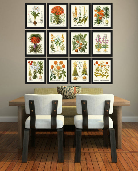 Botanical Wall Art Set of 12 Prints Beautiful Vintage Antique Orange Green White Flowers Living Room Dining Bedroom Home Decor to Frame BESL