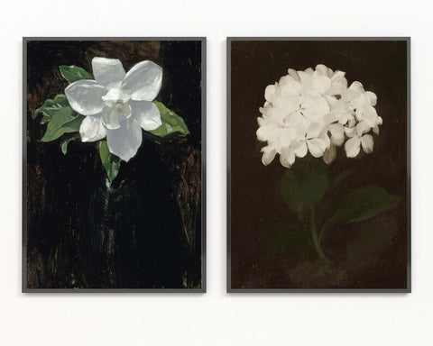 Magnolia Hydrangea Prints Wall Art Set of 2 Vintage Antique Botanical Painting White Dark Background Moody Flowers Home Room Decor FLOW6