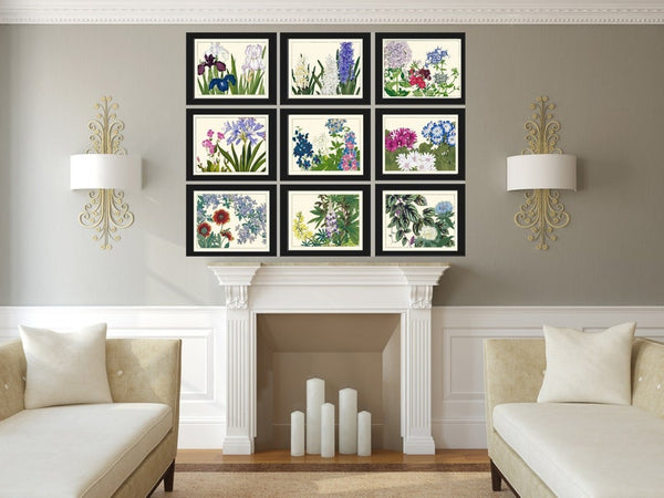 Vintage Wildflowers Botanical Wall Art Set of 9 Prints Blue White Pink Iris Agapanthus Hyacinth Daisy Spring Flower Home Decor to Frame ZUFU