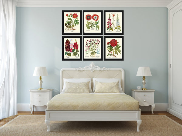 Red Burgundy Botanical Wall Art Print Set of 6 Beautiful Flowers Peony Poppies Carnations Hollyhock Foxglove Plants Home Decor to Frame BESL