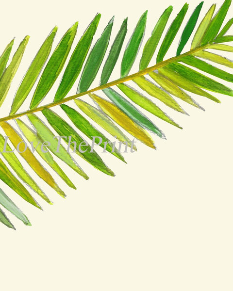 Palm Tree Leaf Botanical Wall Art Set of 3 Prints Beautiful Antique Green Tropical Island Beach Cottage House Home Decor to Frame TR