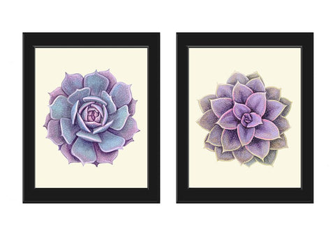 Succulents Prints Wall Art Home Decor Print Set of 2 Beautiful Violet Purple Plants Flowers Botanical Watercolor Home Decor to Frame SUCC