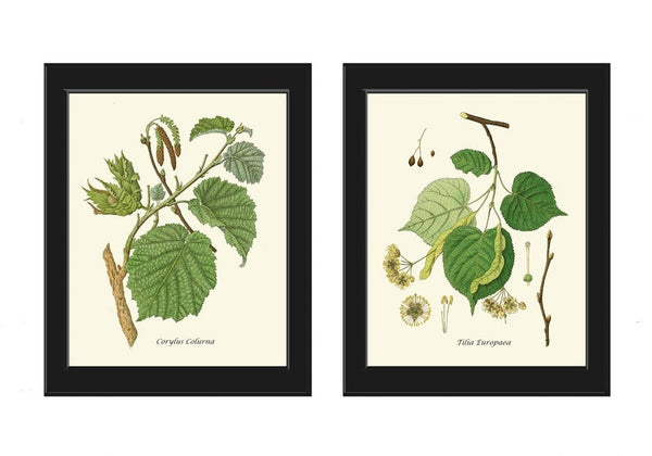 Tree Branch Leaf Botanical Prints Wall Art Home Decor Print Set of 2 Beautiful Green Bedroom Living Room Bathroom Home Decor to Frame HT