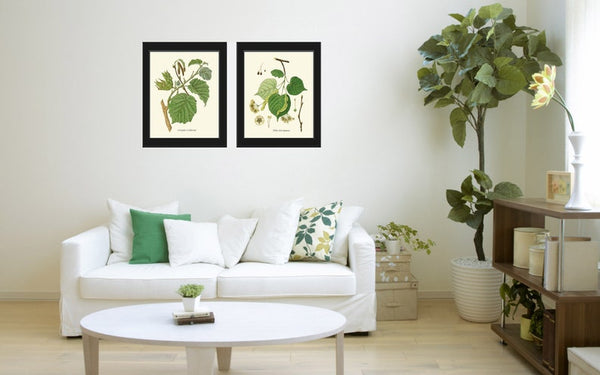 Tree Branch Leaf Botanical Prints Wall Art Home Decor Print Set of 2 Beautiful Green Bedroom Living Room Bathroom Home Decor to Frame HT