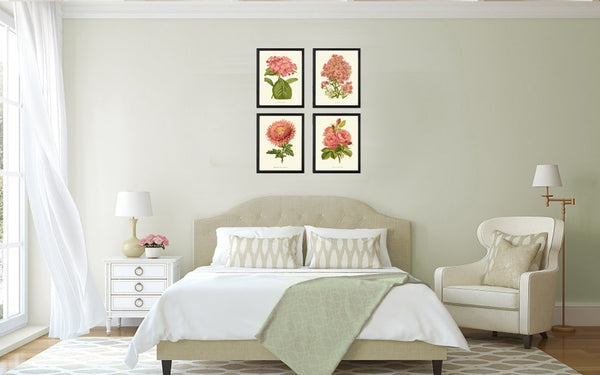 Vintage Pink Coral Botanical Prints Wall Art Set of 4 Beautiful Antique Roses Aster Hydrangea Plants Garden Nature Home Decor to Frame IH