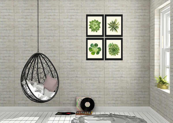 Succulents Home Decor Wall Art Print Set of 4 Beautiful Green Cactus Plants Tropical Exotic Garden Flowers Poster Home Decor to Frame SUCC