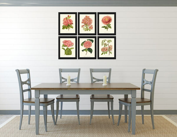 Pink Coral Botanical Pint Set of 6 Wall Art Flowers Floral Roses Aster Hydrangea Camellia Bedroom Dining Room Kitchen Home Decor to Frame IH