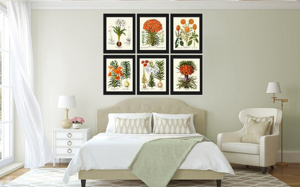 Lily Lilies Wall Art Set of 6 Prints Beautiful Botanical Orange White Vintage Crown Imperial Daylily Fritillary Flowers Decor to Frame BESL