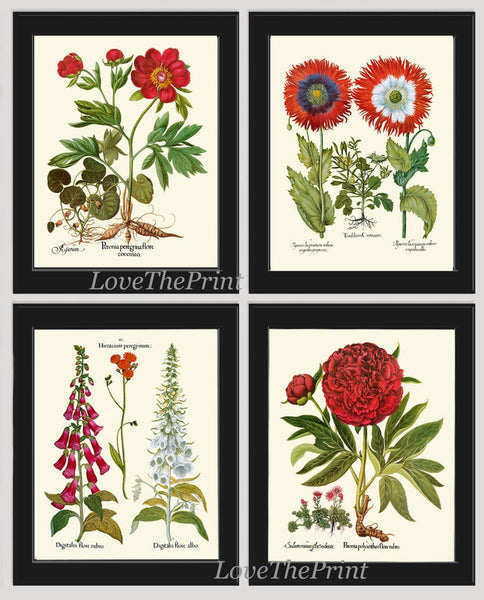 Red Peony Poppy Foxglove Botanical Print Set of 4 Wall Art Antique Vintage Garden Flowers Illustration Picture Home Room Decor to Frame BESL