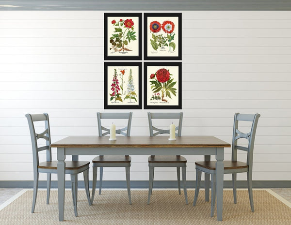 Red Peony Poppy Foxglove Botanical Print Set of 4 Wall Art Antique Vintage Garden Flowers Illustration Picture Home Room Decor to Frame BESL