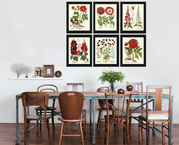 Red Burgundy Botanical Wall Art Print Set of 6 Beautiful Flowers Peony Poppies Carnations Hollyhock Foxglove Plants Home Decor to Frame BESL