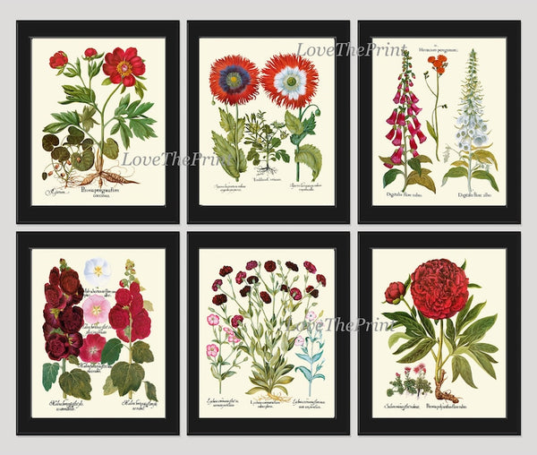 Red Burgundy Botanical Wall Art Print Set of 6 Beautiful Flowers Peony Poppies Carnations Hollyhock Foxglove Plants Home Decor to Frame BESL