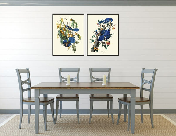 Blue Jay James Audubon Bird Wall Art Prints Set of 2 Beautiful Antique Tree Branch Illustration Forest Nature Home Room Decor to Frame JJA