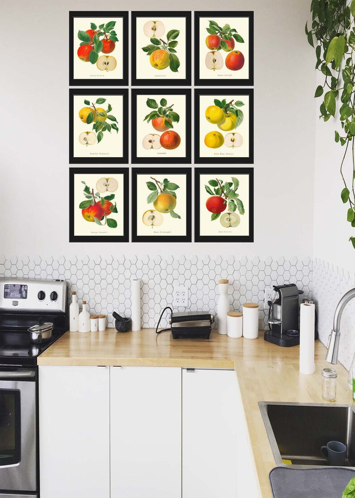 Kitchen Gallery Wall Art Set of 6, Vintage Fruit Prints, Farmhouse Kitchen  Decor, Retro Poster, Food Print, Dining Room Wall Set 