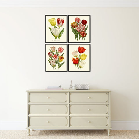 Vintage Botanical Print Set of 4 Tulip Flowers Wall Art Beautiful Antique Vintage Red White Yellow Spring Summer Home Decor to Frame HOU