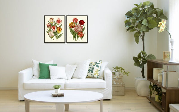 Tulip Flower Prints Wall Art Set of 2 Vintage Antique Botanical Pretty Colorful Living Room Dining Kitchen Office Nursery Home Decor HOU