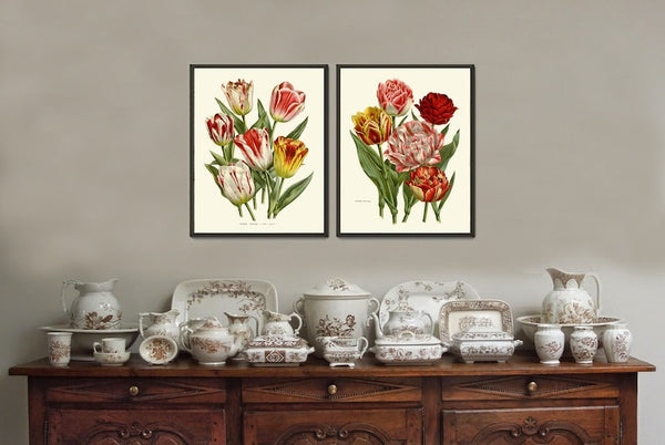 Tulip Flower Prints Wall Art Set of 2 Vintage Antique Botanical Pretty Colorful Living Room Dining Kitchen Office Nursery Home Decor HOU