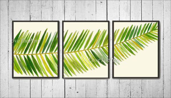 Palm Tree Leaf Botanical Wall Art Set of 3 Prints Beautiful Antique Green Tropical Island Beach Cottage House Home Decor to Frame TR