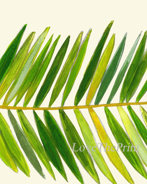 Palm Tree Leaf Botanical Wall Art Set of 3 Prints Beautiful Antique Green Tropical Island Beach Cottage House Home Decor to Frame TR