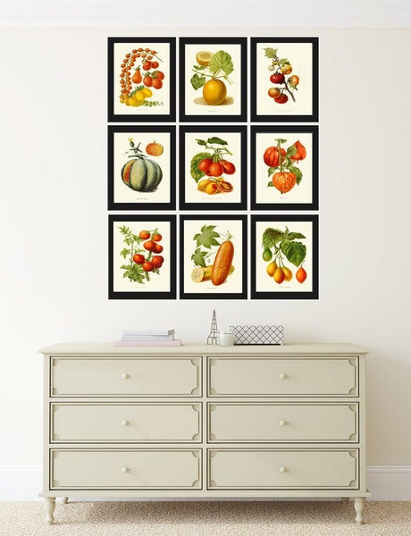 Vegetables Print Set of 9 Botanical Wall Art Kitchen Dining Room Vintage Antique Heirloom Chart Poster Large Gallery Home Decor to Frame IH