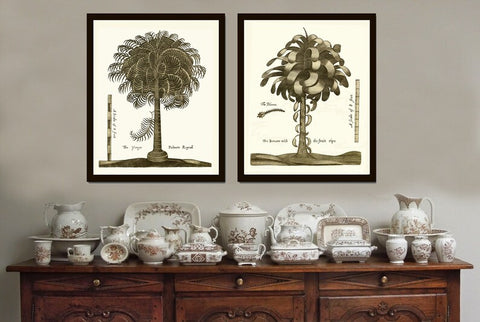 Palm Tree Print Botanical Wall Art Set of 2 Neutral Colors Beautiful Antique Vintage Beach Home Decor Illustration Picture to Frame GTHO