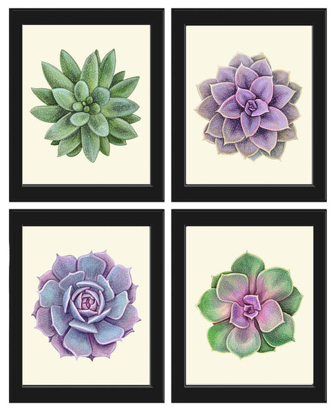 Succulent Plant Prints Wall Art Home Decor Set of 4 Beautiful Green Violet Purple Tropical Picture Watercolor Home Decor to Frame SUCC