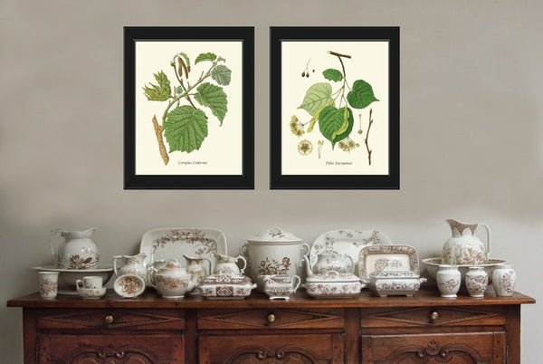 Tree Branch Leaf Botanical Prints Wall Art Home Decor Print Set of 2 Beautiful Green Bedroom Living Room Bathroom Home Decor to Frame HT