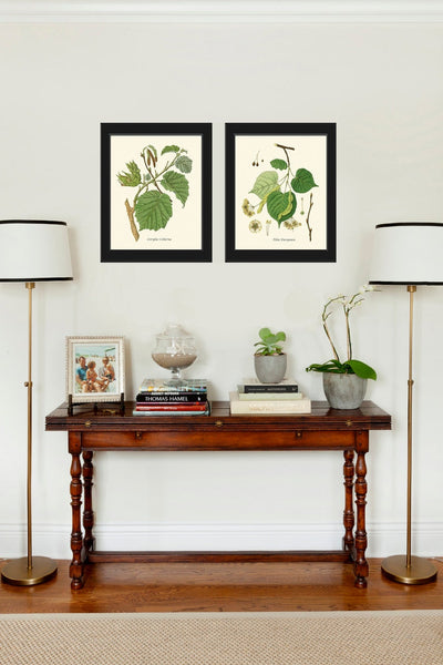 Tree Branch Leaf Botanical Prints Wall Art Home Decor Print Set of 2 Beautiful Green Bedroom Living Room Bathroom Home Decor to Frame HT