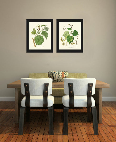 Tree Branch Leaf Botanical Prints Wall Art Home Decor Print Set of 2 Beautiful Green Bedroom Living Room Bathroom Home Decor to Frame HT