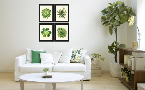 Succulents Home Decor Wall Art Print Set of 4 Beautiful Green Cactus Plants Tropical Exotic Garden Flowers Poster Home Decor to Frame SUCC