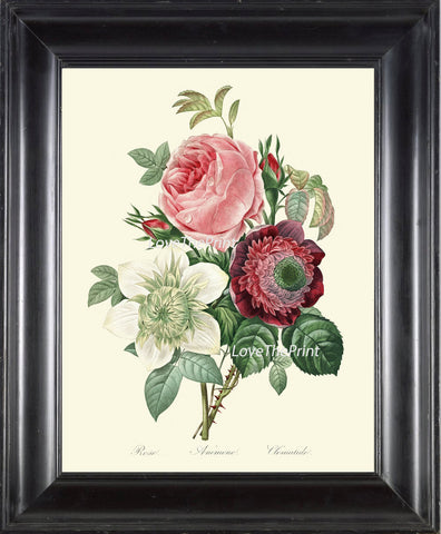 BOTANICAL PRINT Redoute Flower  Art Print 427 Beautiful Antique Rose Pink White Anemone French Country Bouquet Illustration to Frame